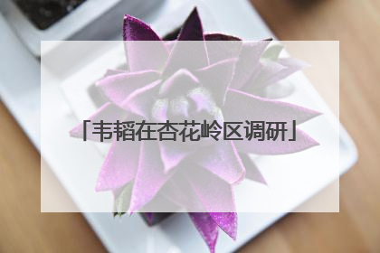 韦韬在杏花岭区调研