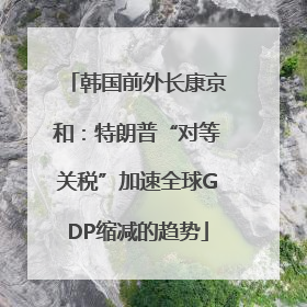 韩国前外长康京和：特朗普“对等关税”加速全球GDP缩减的趋势