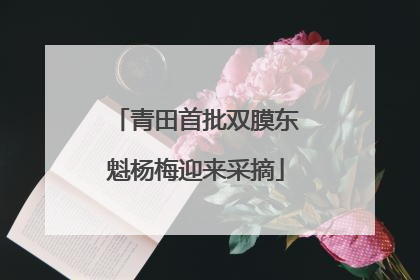 青田首批双膜东魁杨梅迎来采摘