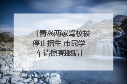 青岛两家驾校被停止招生 市民学车请擦亮眼睛