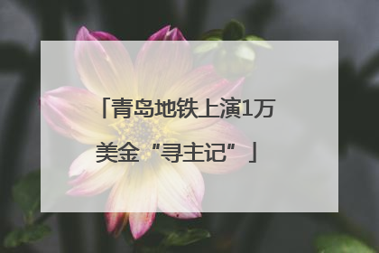 青岛地铁上演1万美金“寻主记”