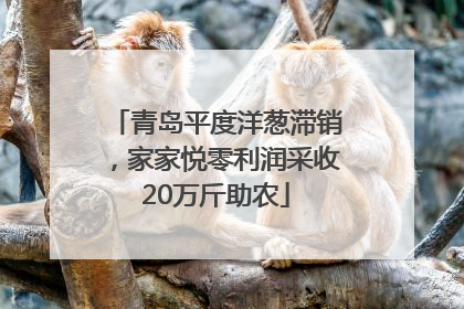 青岛平度洋葱滞销，家家悦零利润采收20万斤助农