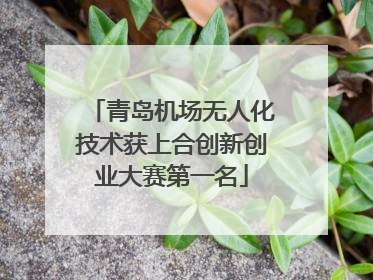 青岛机场无人化技术获上合创新创业大赛第一名