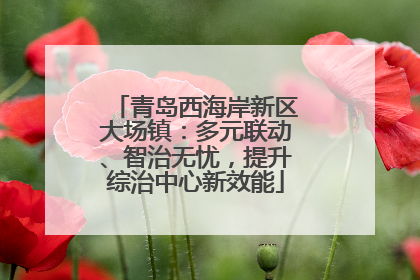 青岛西海岸新区大场镇：多元联动、智治无忧，提升综治中心新效能