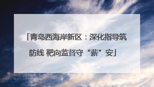 青岛西海岸新区：深化指导筑防线 靶向监督守“薪”安