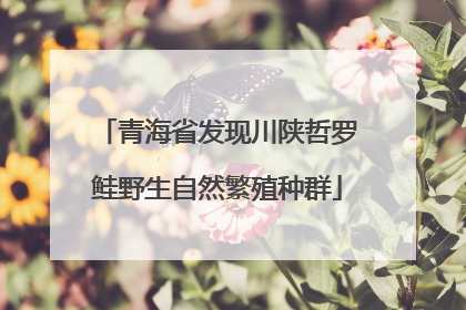 青海省发现川陕哲罗鲑野生自然繁殖种群