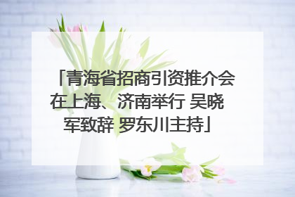 青海省招商引资推介会在上海、济南举行 吴晓军致辞 罗东川主持