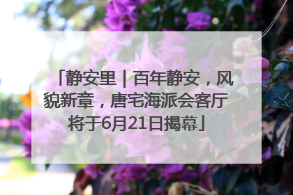 静安里｜百年静安，风貌新章，唐宅海派会客厅将于6月21日揭幕