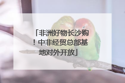 非洲好物长沙购！中非经贸总部基地对外开放