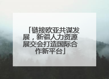 链接欧亚共谋发展，新疆人力资源展交会打造国际合作新平台