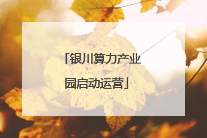 银川算力产业园启动运营