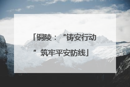 铜陵：“铸安行动”筑牢平安防线