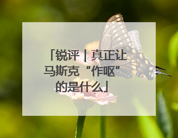 锐评｜真正让马斯克“作呕”的是什么