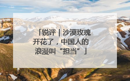 锐评｜沙漠玫瑰开花了，中国人的浪漫叫“担当”
