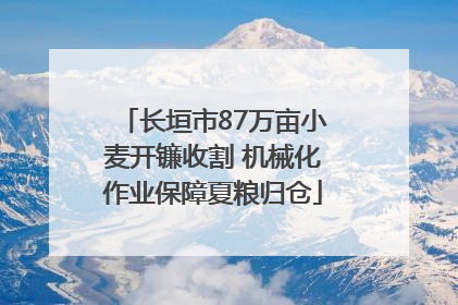 长垣市87万亩小麦开镰收割 机械化作业保障夏粮归仓