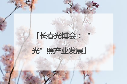 长春光博会：“光”照产业发展