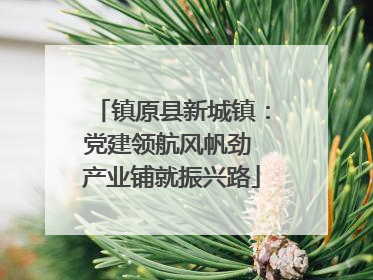 镇原县新城镇：党建领航风帆劲 产业铺就振兴路