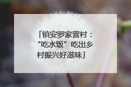 镇安罗家营村：“吃水饭”吃出乡村振兴好滋味