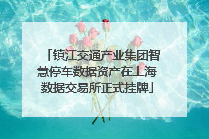 镇江交通产业集团智慧停车数据资产在上海数据交易所正式挂牌