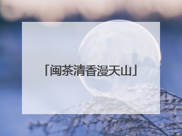 闽茶清香漫天山