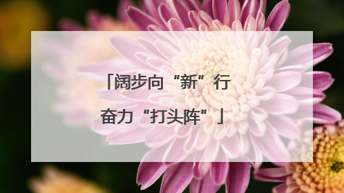 阔步向“新”行 奋力“打头阵”