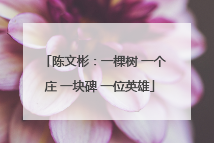 陈文彬：一棵树 一个庄 一块碑 一位英雄