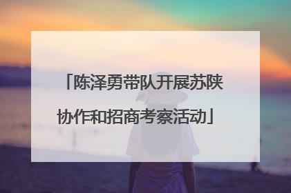 陈泽勇带队开展苏陕协作和招商考察活动