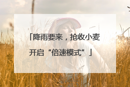降雨要来，抢收小麦开启“倍速模式”