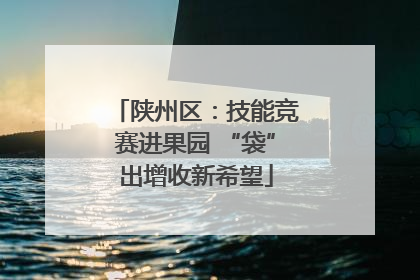 陕州区：技能竞赛进果园 “袋”出增收新希望