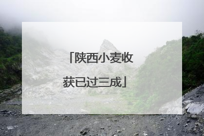 陕西小麦收获已过三成