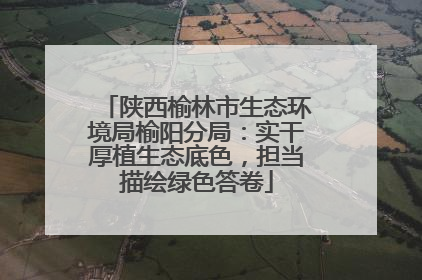 陕西榆林市生态环境局榆阳分局：实干厚植生态底色，担当描绘绿色答卷