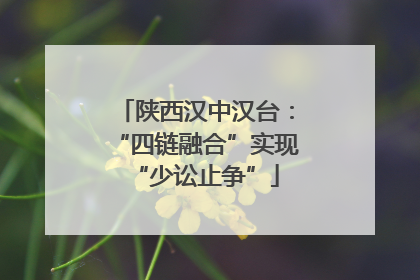 陕西汉中汉台：“四链融合”实现“少讼止争”