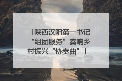 陕西汉阴第一书记“组团服务”奏响乡村振兴“协奏曲”