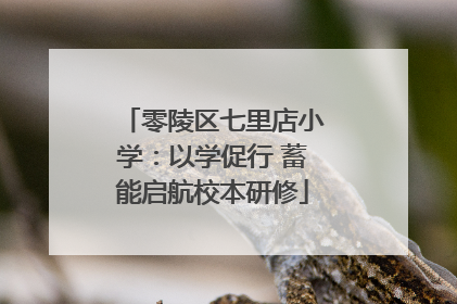 零陵区七里店小学：以学促行 蓄能启航校本研修