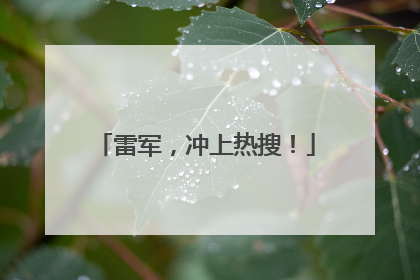 雷军，冲上热搜！