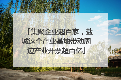集聚企业超百家，盐城这个产业基地带动周边产业开票超百亿