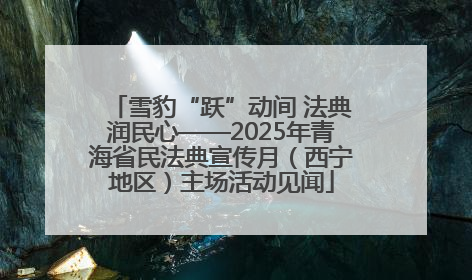雪豹“跃”动间 法典润民心——2025年青海省民法典宣传月（西宁地区）主场活动见闻