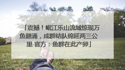 震撼！岷江乐山流域惊现万鱼翻涌，成群结队绵延两三公里 官方：鱼群在此产卵