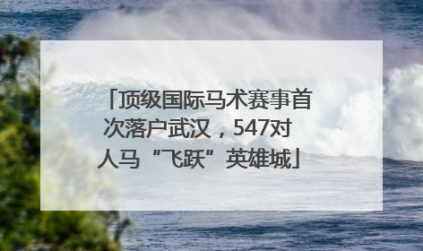 顶级国际马术赛事首次落户武汉，547对人马“飞跃”英雄城