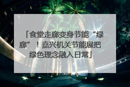 食堂走廊变身节能“绿廊”！嘉兴机关节能展把绿色理念融入日常