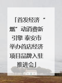 首发经济“燃”动消费新引擎 泰安市举办首店经济项目品牌入驻推进会