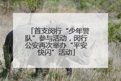 首支闵行“少年警队”参与活动，闵行公安再次举办“平安快闪”活动