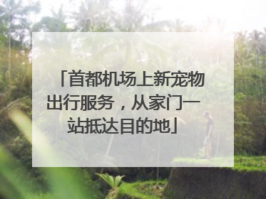 首都机场上新宠物出行服务，从家门一站抵达目的地