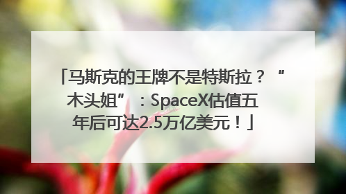 马斯克的王牌不是特斯拉？“木头姐”：SpaceX估值五年后可达2.5万亿美元！