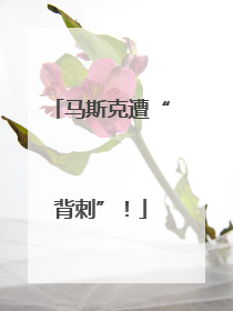 马斯克遭“背刺”！