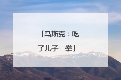 马斯克：吃了儿子一拳