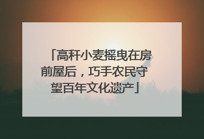 高秆小麦摇曳在房前屋后，巧手农民守望百年文化遗产