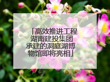 高效推进工程 湖南建投集团承建的洞庭湖博物馆即将亮相