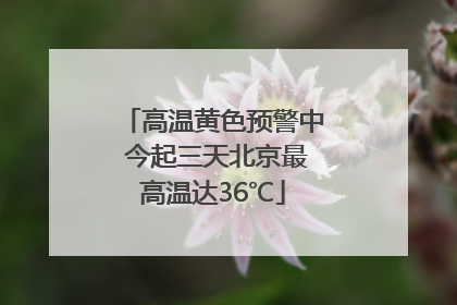 高温黄色预警中 今起三天北京最高温达36℃