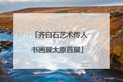 齐白石艺术传人书画展太原首展